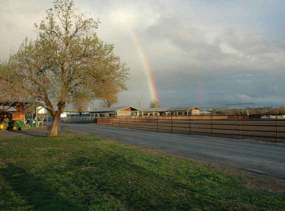 Rainbow at the Ranch