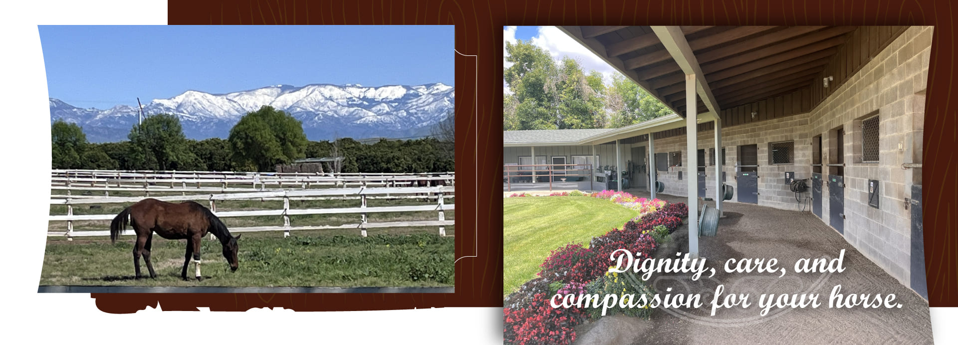 A bay horse grazing in a white-fenced paddock with the snow-capped Sierra Nevada mountains in the background, paired with the text "Dignity, care, and compassion for your horse