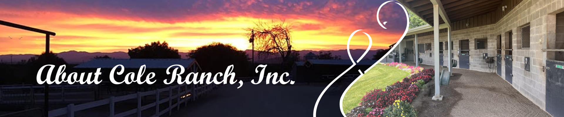 Panoramic sunset view over the rolling hills and white-fenced pastures of Cole Ranch, Inc., featuring the professional stable complex and beautifully landscaped flower gardens.