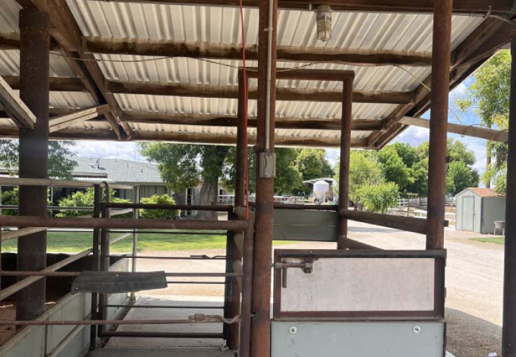 Interior view of a clean, well-maintained horse stall under a protective breezeway at The Cole Ranch, highlighting the safe and modern facilities used for high-quality equine care.