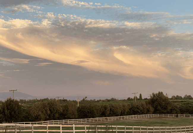 Scenic landscape of the equine retirement facility pastures under a dramatic evening sky with soft, sweeping clouds and a view of the distant mountains and lush treelines.