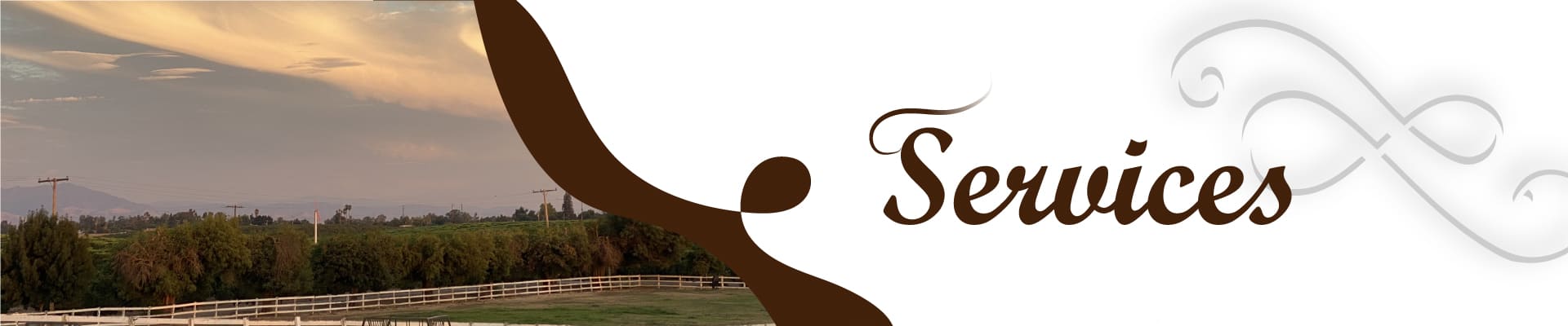 Wide panoramic view of the fenced grazing pastures at The Cole Ranch under a soft sunset sky, featuring a stylized "Services" heading for the website's offerings page.