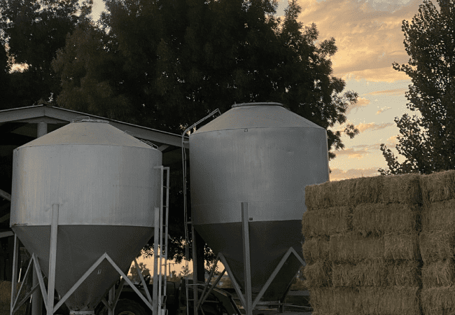Large silver grain silos and a tall stack of hay bales at sunset, showcasing the high-quality nutritional storage and feed at The Cole Ranch.
