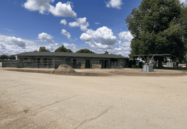 Wide-angle view of the Terra Bella Ranch facility featuring professional horse walker equipment and outdoor stables under a bright, cloud-filled sky in the Central Valley.
